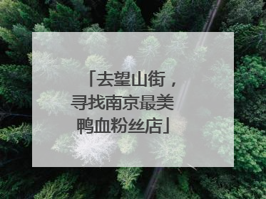 去望山街，寻找南京最美鸭血粉丝店