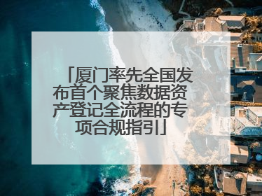 厦门率先全国发布首个聚焦数据资产登记全流程的专项合规指引