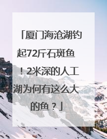 厦门海沧湖钓起72斤石斑鱼！2米深的人工湖为何有这么大的鱼？