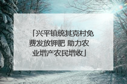 兴平镇统其克村免费发放钾肥 助力农业增产农民增收