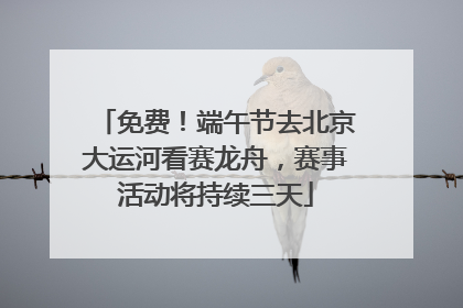 免费！端午节去北京大运河看赛龙舟，赛事活动将持续三天