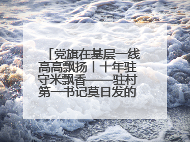 党旗在基层一线高高飘扬丨十年驻守米飘香——驻村第一书记莫日发的乡村印记