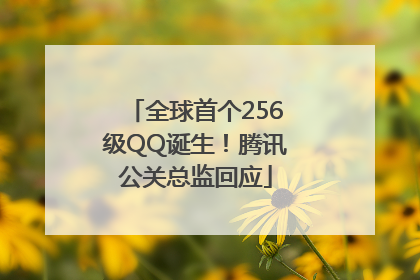 全球首个256级QQ诞生！腾讯公关总监回应