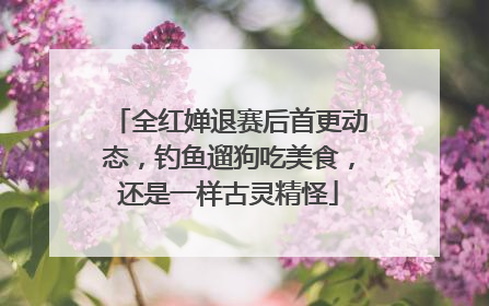 全红婵退赛后首更动态，钓鱼遛狗吃美食，还是一样古灵精怪