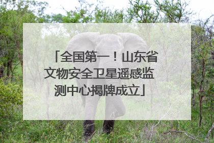 全国第一！山东省文物安全卫星遥感监测中心揭牌成立