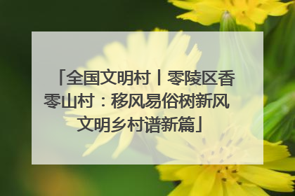 全国文明村丨零陵区香零山村：移风易俗树新风 文明乡村谱新篇