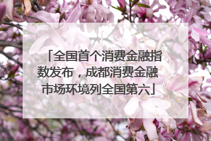 全国首个消费金融指数发布，成都消费金融市场环境列全国第六