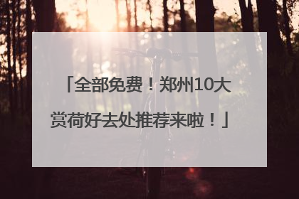 全部免费！郑州10大赏荷好去处推荐来啦！