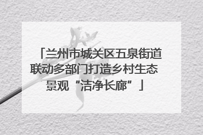 兰州市城关区五泉街道联动多部门打造乡村生态景观“洁净长廊”