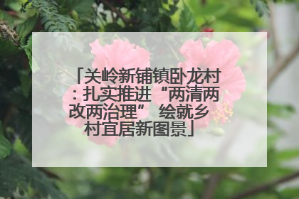 关岭新铺镇卧龙村：扎实推进“两清两改两治理” 绘就乡村宜居新图景