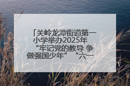 关岭龙潭街道第一小学举办2025年“牢记党的教导 争做强国少年”“六一”文艺汇演活动