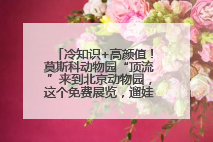 冷知识+高颜值！莫斯科动物园“顶流”来到北京动物园，这个免费展览，遛娃拍照两不误！