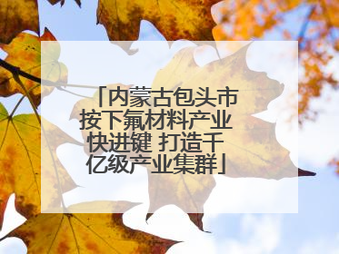 内蒙古包头市按下氟材料产业快进键 打造千亿级产业集群