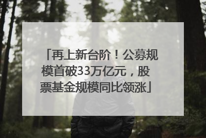 再上新台阶！公募规模首破33万亿元，股票基金规模同比领涨