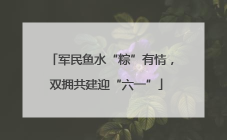 军民鱼水“粽”有情，双拥共建迎“六一”
