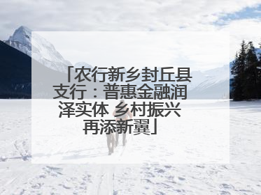 农行新乡封丘县支行：普惠金融润泽实体 乡村振兴再添新翼