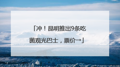 冲！昆明推出9条吃菌观光巴士，票价→