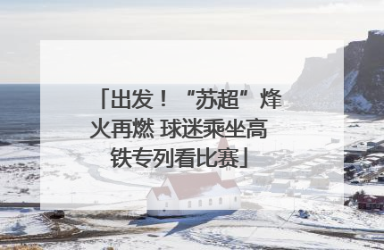 出发！“苏超”烽火再燃 球迷乘坐高铁专列看比赛