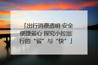 出行消费透明 安全便捷省心 探究小拉出行的“省”与“快”