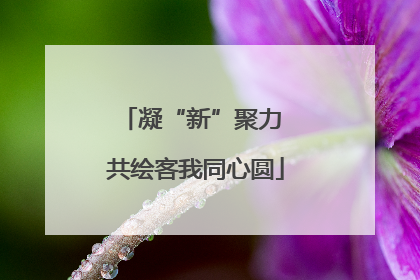 凝“新”聚力 共绘客我同心圆