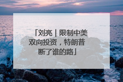 刘亮｜限制中美双向投资，特朗普断了谁的路