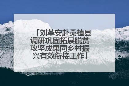 刘革安赴桑植县调研巩固拓展脱贫攻坚成果同乡村振兴有效衔接工作
