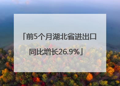 前5个月湖北省进出口同比增长26.9%