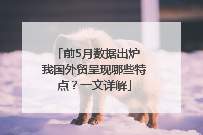 前5月数据出炉 我国外贸呈现哪些特点？一文详解
