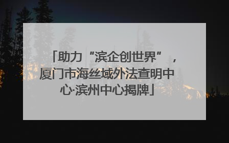 助力“滨企创世界”，厦门市海丝域外法查明中心·滨州中心揭牌
