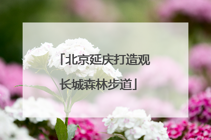 北京延庆打造观长城森林步道