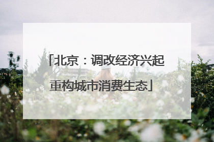 北京：调改经济兴起 重构城市消费生态