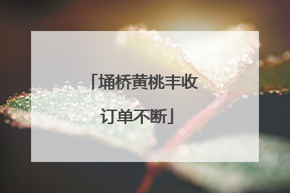 埇桥黄桃丰收 订单不断