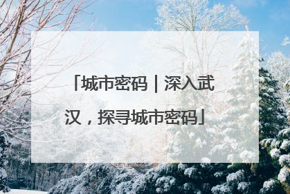 城市密码｜深入武汉，探寻城市密码