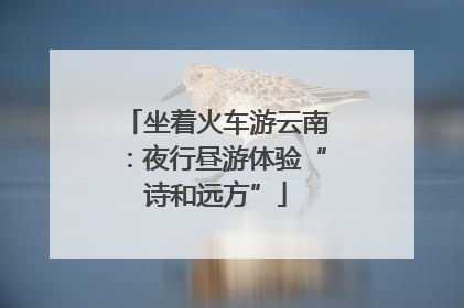 坐着火车游云南：夜行昼游体验“诗和远方”