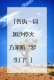 各执一词 加沙停火方案陷“罗生门”