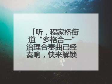 听，程家桥街道“多格合一”治理合奏曲已经奏响，快来解锁高光时刻！