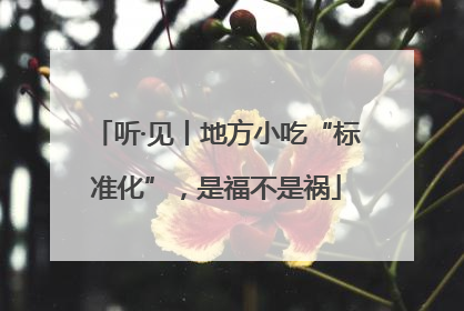 听·见丨地方小吃“标准化”，是福不是祸