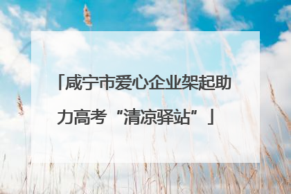 咸宁市爱心企业架起助力高考“清凉驿站”