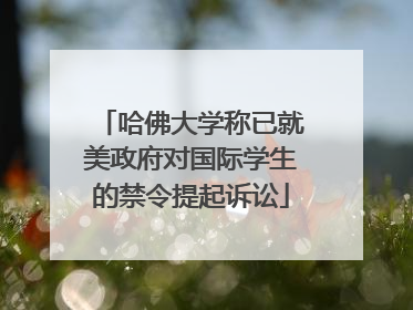 哈佛大学称已就美政府对国际学生的禁令提起诉讼