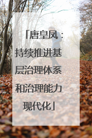 唐皇凤：持续推进基层治理体系和治理能力现代化