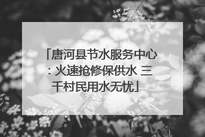 唐河县节水服务中心：火速抢修保供水 三千村民用水无忧
