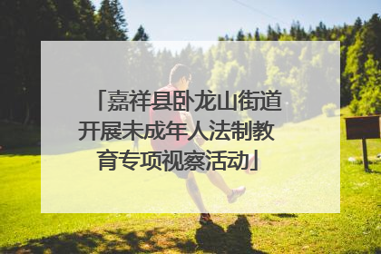 嘉祥县卧龙山街道开展未成年人法制教育专项视察活动