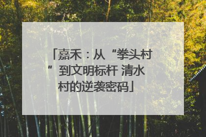 嘉禾：从“拳头村”到文明标杆 清水村的逆袭密码