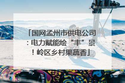 国网孟州市供电公司：电力赋能绘“丰”景！岭区乡村果蔬香