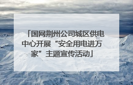 国网荆州公司城区供电中心开展“安全用电进万家”主题宣传活动