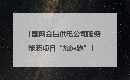 国网金昌供电公司服务能源项目“加速跑”