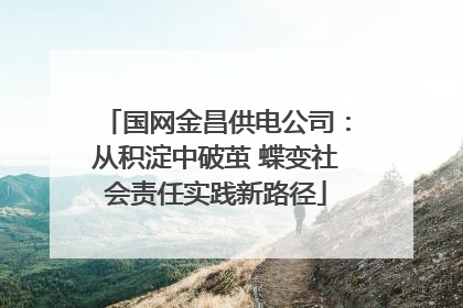 国网金昌供电公司：从积淀中破茧 蝶变社会责任实践新路径