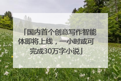 国内首个创意写作智能体即将上线，一小时或可完成30万字小说