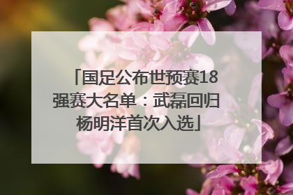 国足公布世预赛18强赛大名单：武磊回归 杨明洋首次入选