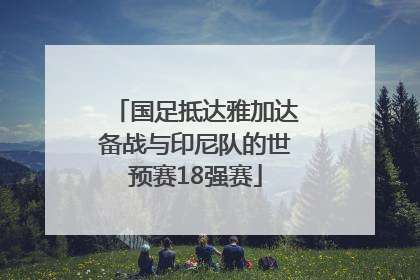 国足抵达雅加达备战与印尼队的世预赛18强赛
